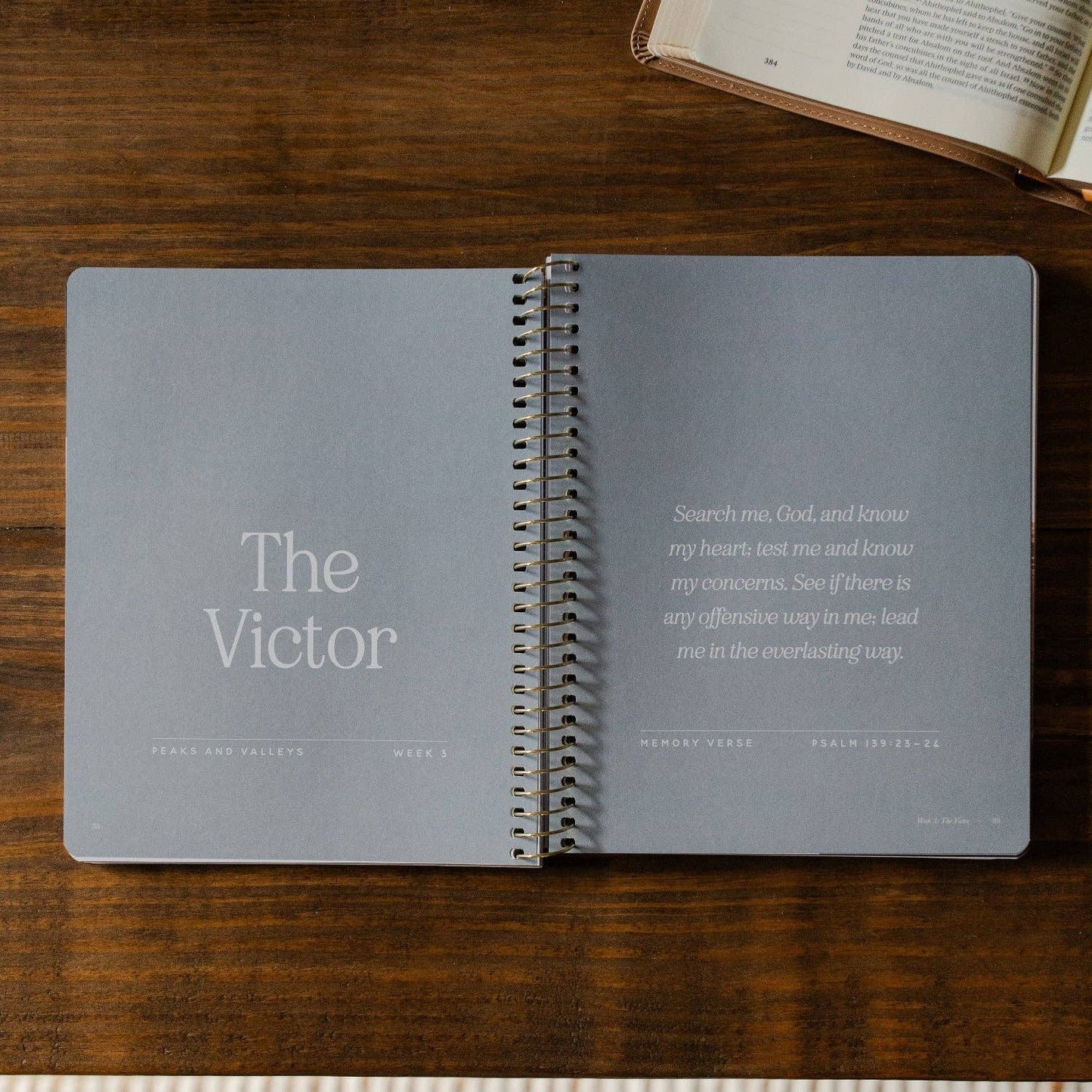 The Daily Grace Co - Peaks and Valleys: Learning to Look to Christ in Life's Highs and Lows | A Study on the Life of David - Men