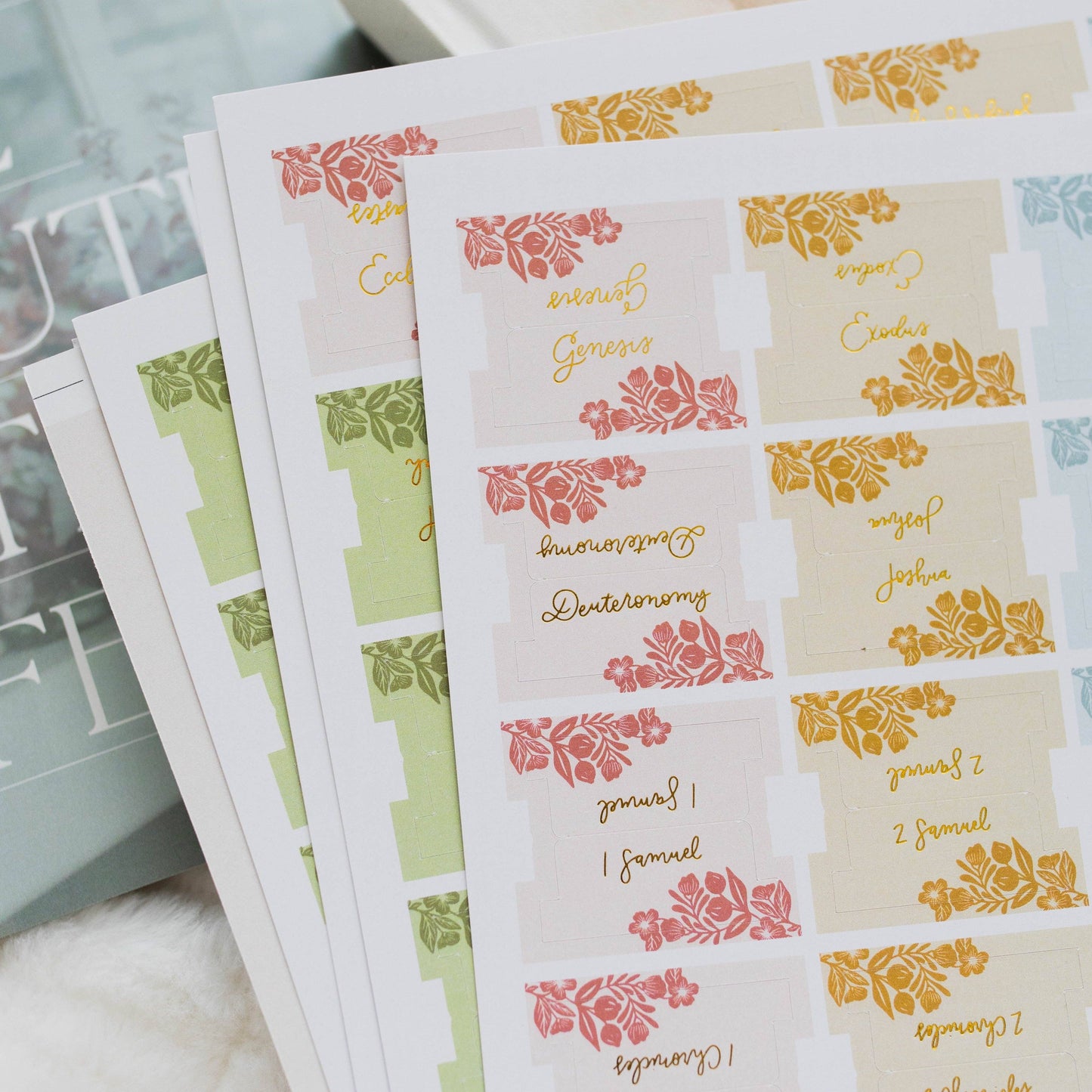 The Daily Grace Co - Sprigs Bible Tabs