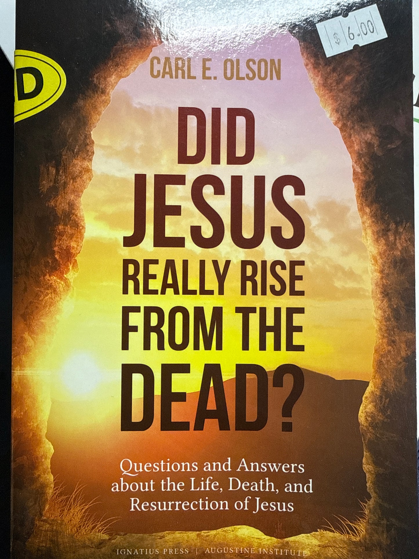 Did Jesus Really Rise from the Dead? Used book