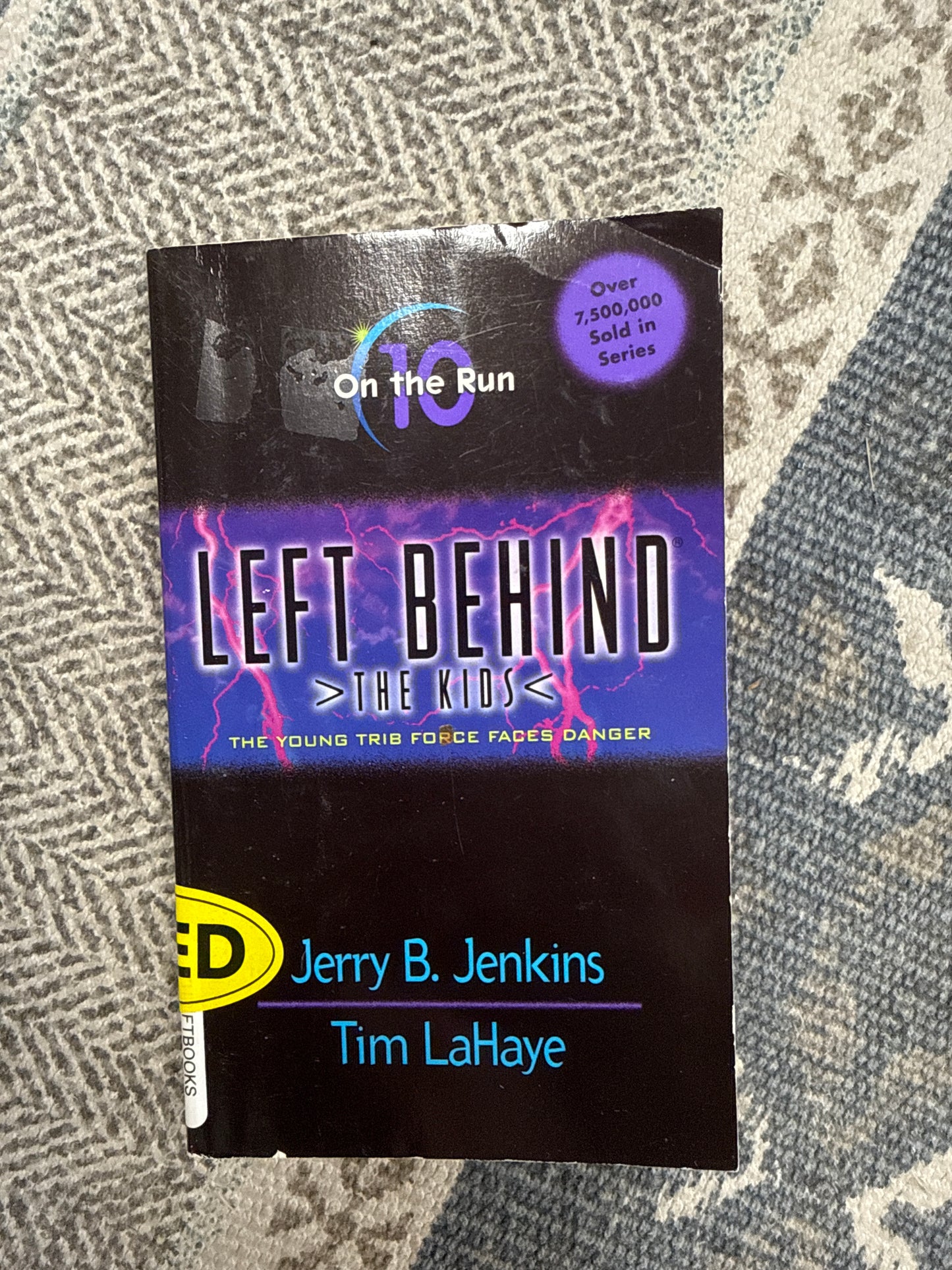 Left Behind-The kids Book 10