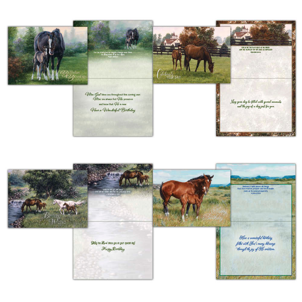 Boxed Birthday Cards - Beginnings