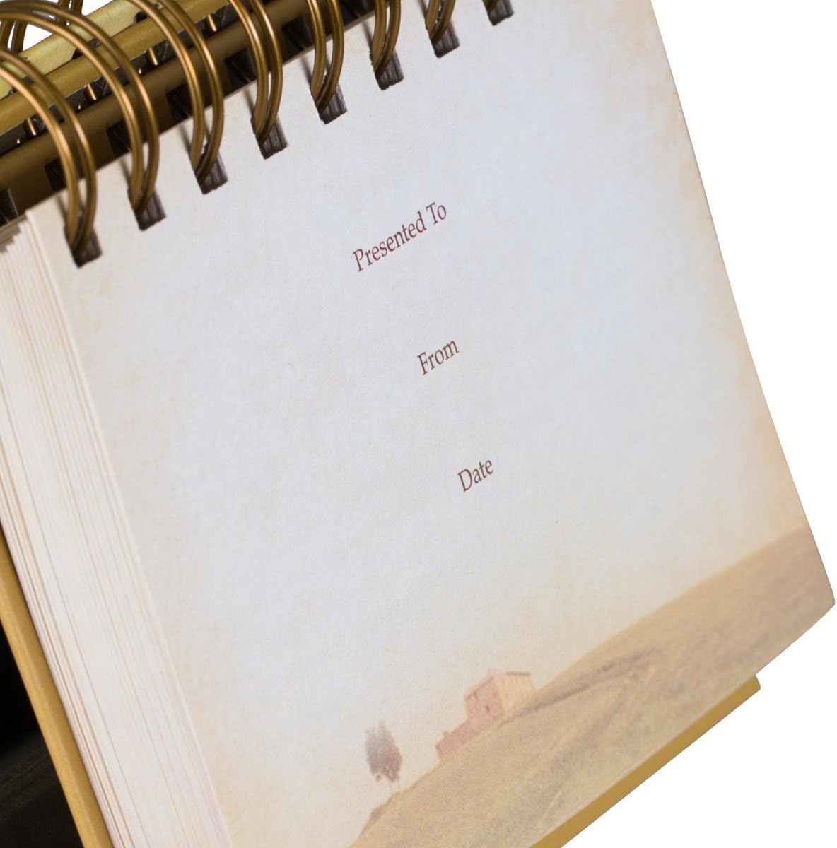 God's Promises Day by Day: 365 Days of Inspirational Thoughts - Perpetual Calendar