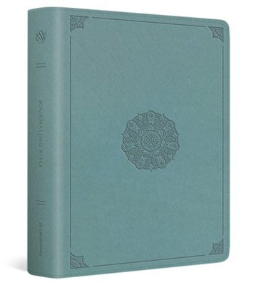ESV Journaling Bible--soft leather-look, paris sky