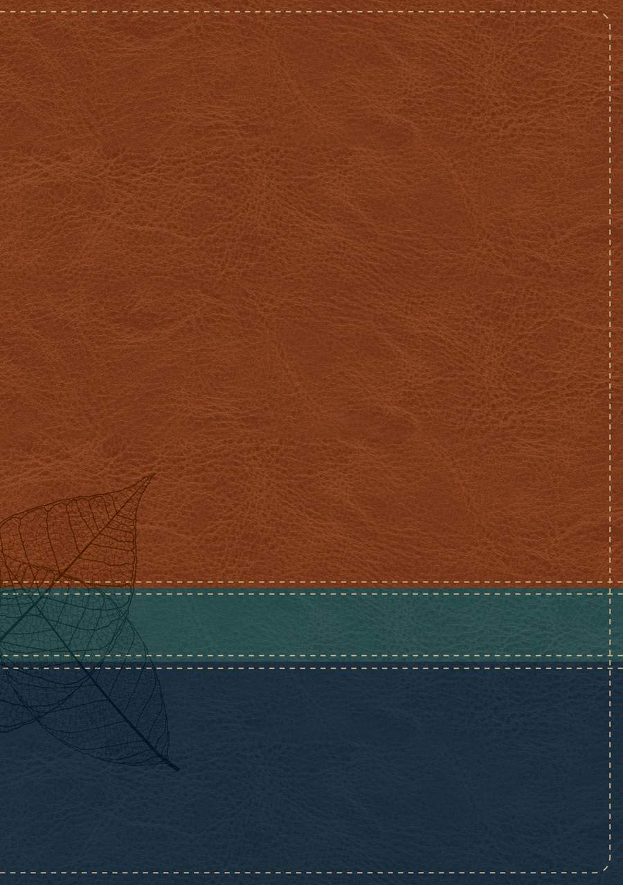 The Swindoll Study Bible NLT