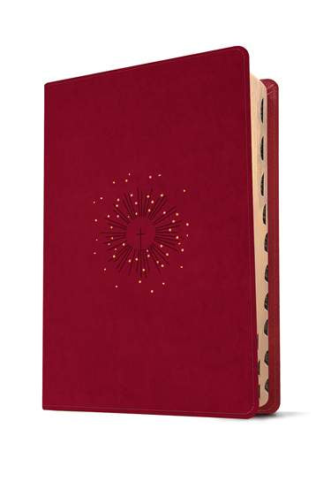 NLT Personal Size Giant Print Bible, Filament Enabled