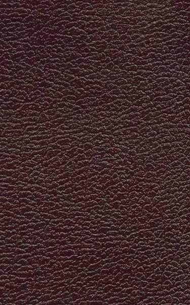 People’s Parallel Bible KJV/NLT