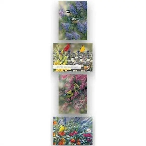 Card-Boxed-Shared Blessings-Get Well 3-Birds (Box Of 12