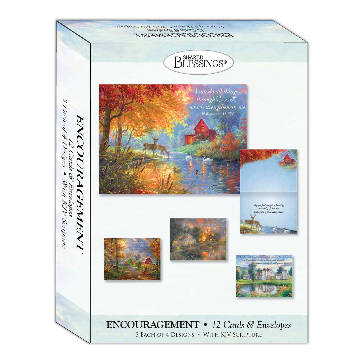 Crown Point Graphics - Seasons - Boxed Thinking of You Cards, Box of 12