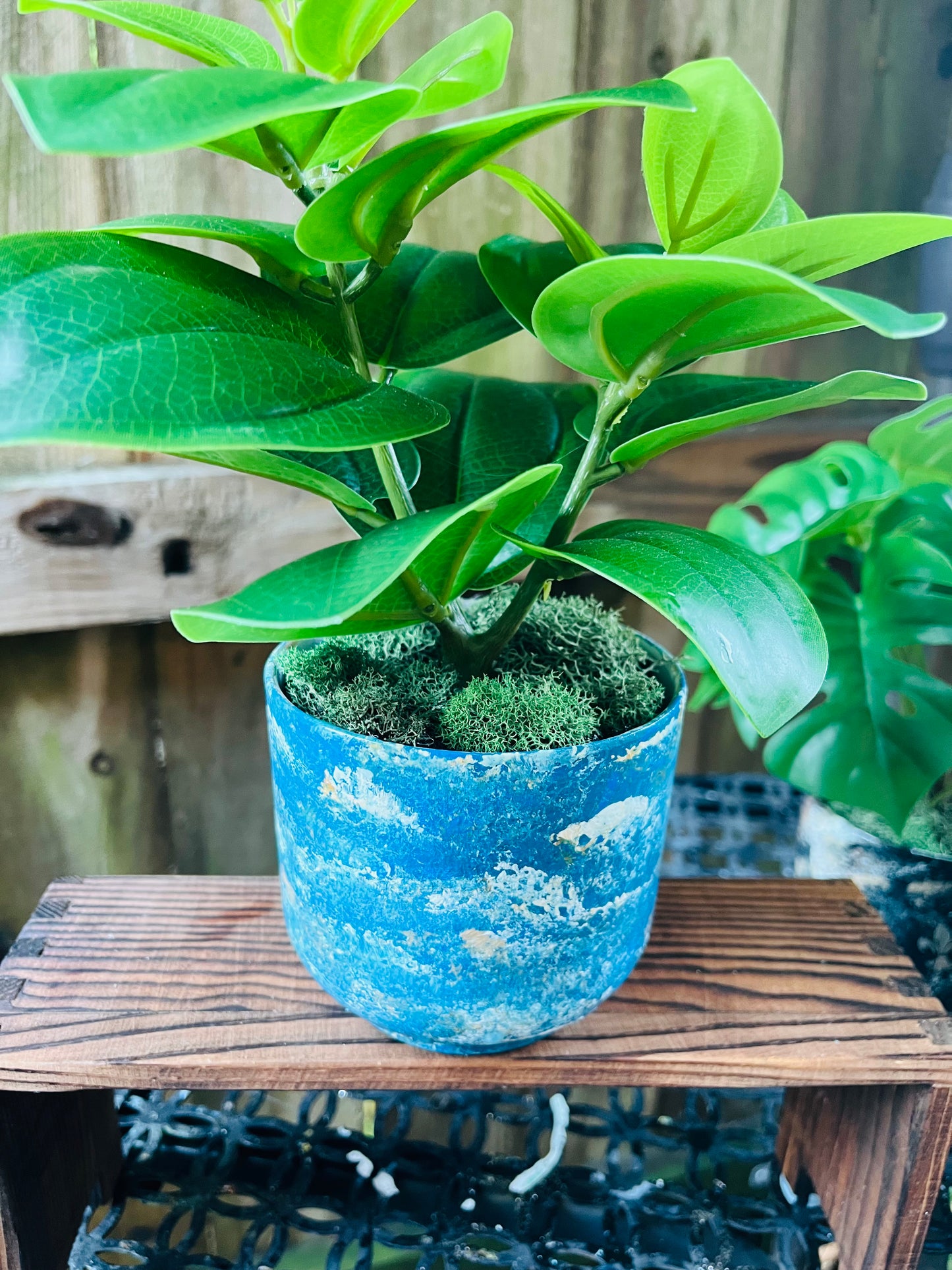Teannscorner- Clouds Blue artificial plant $10