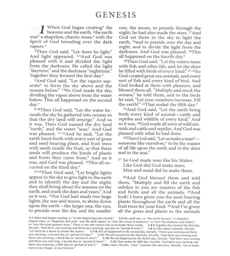 Living Bible: Large Print, TuTone Brown and Tan Imitation Leather