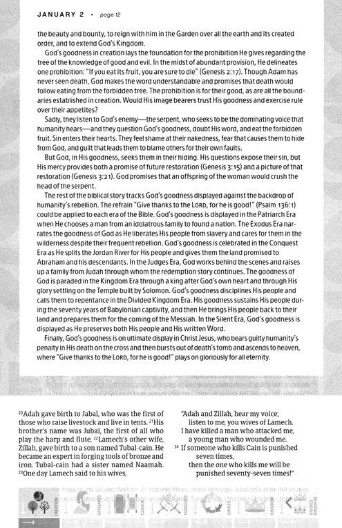 NLT One Year Chronological Study Bible, Softcover