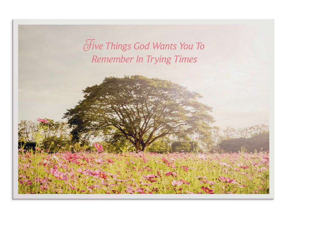 Care & Concern - Trying Times - 12 Boxed Cards