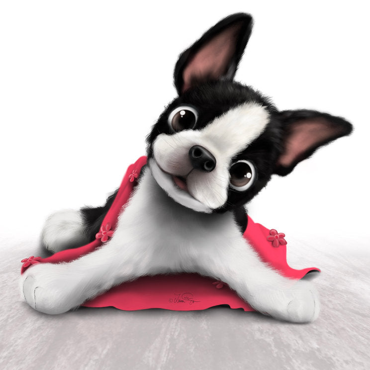 Boo Boo Magoo Goes to the Beach