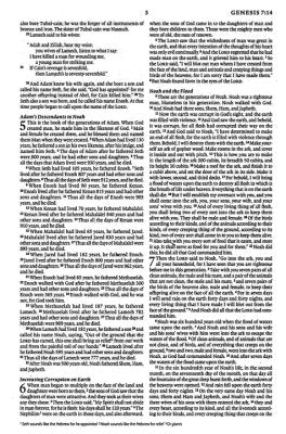 ESV Economy Bible, Softcover