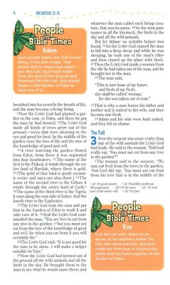 NIV Adventure Bible, Imitation Leather, Gray