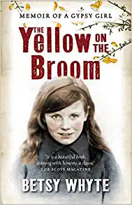 The Yellow on the Broom Paperback