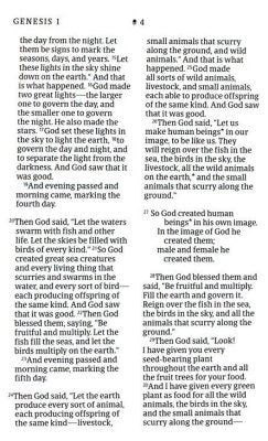 NLT Giant-Print Personal-Size Bible, Filament Enabled Edition--soft leather-look, black/onyx