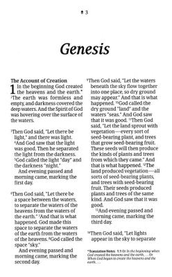 NLT Giant-Print Personal-Size Bible, Filament Enabled Edition--soft leather-look, peony/pink (indexes)