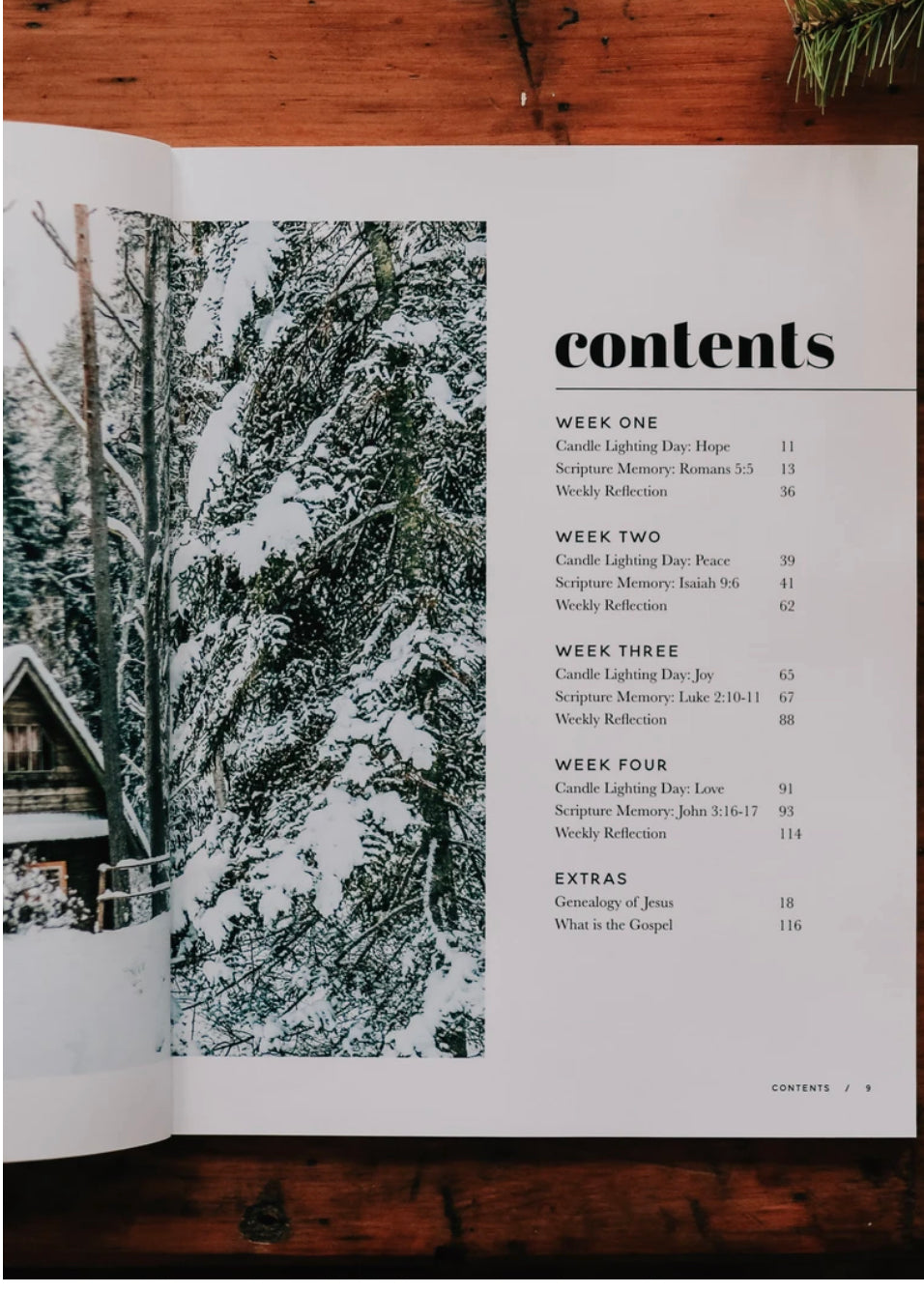 WAITING FOR THE SAVIOR | ADVENT STUDY - MEN