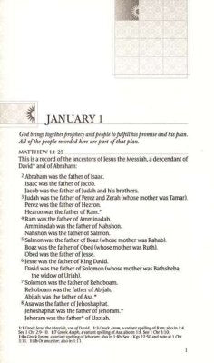 NLT One Year New Testament for Busy Moms