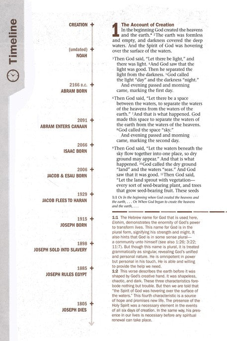 NLT Every Man's Bible Messenger Edition, Leatherlike