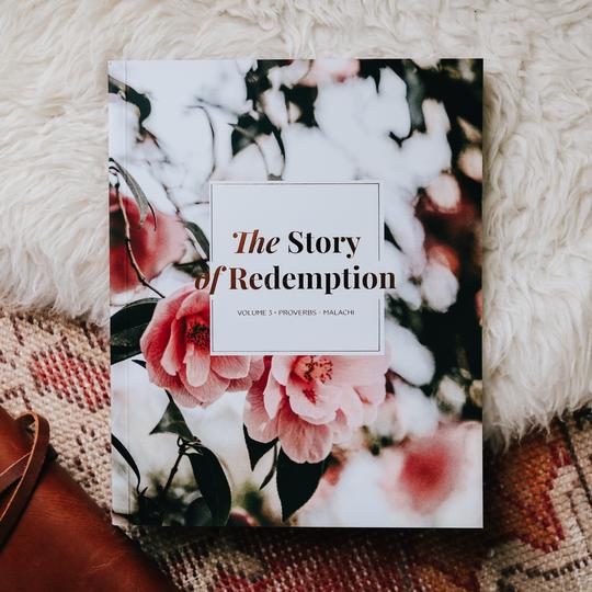 THE STORY OF REDEMPTION | VOL. 3