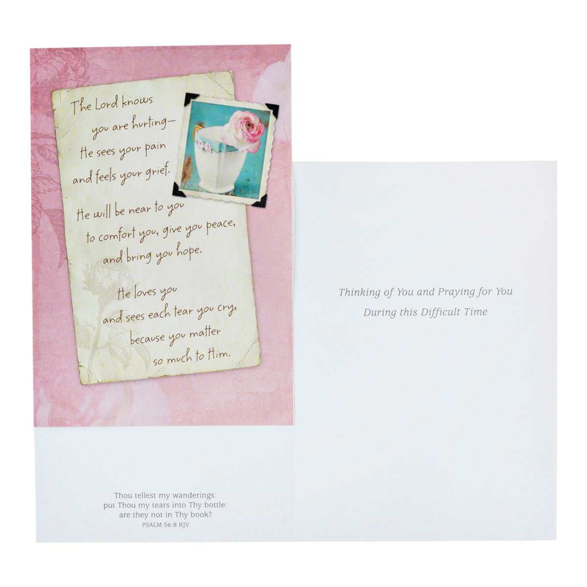 All Occasion King James