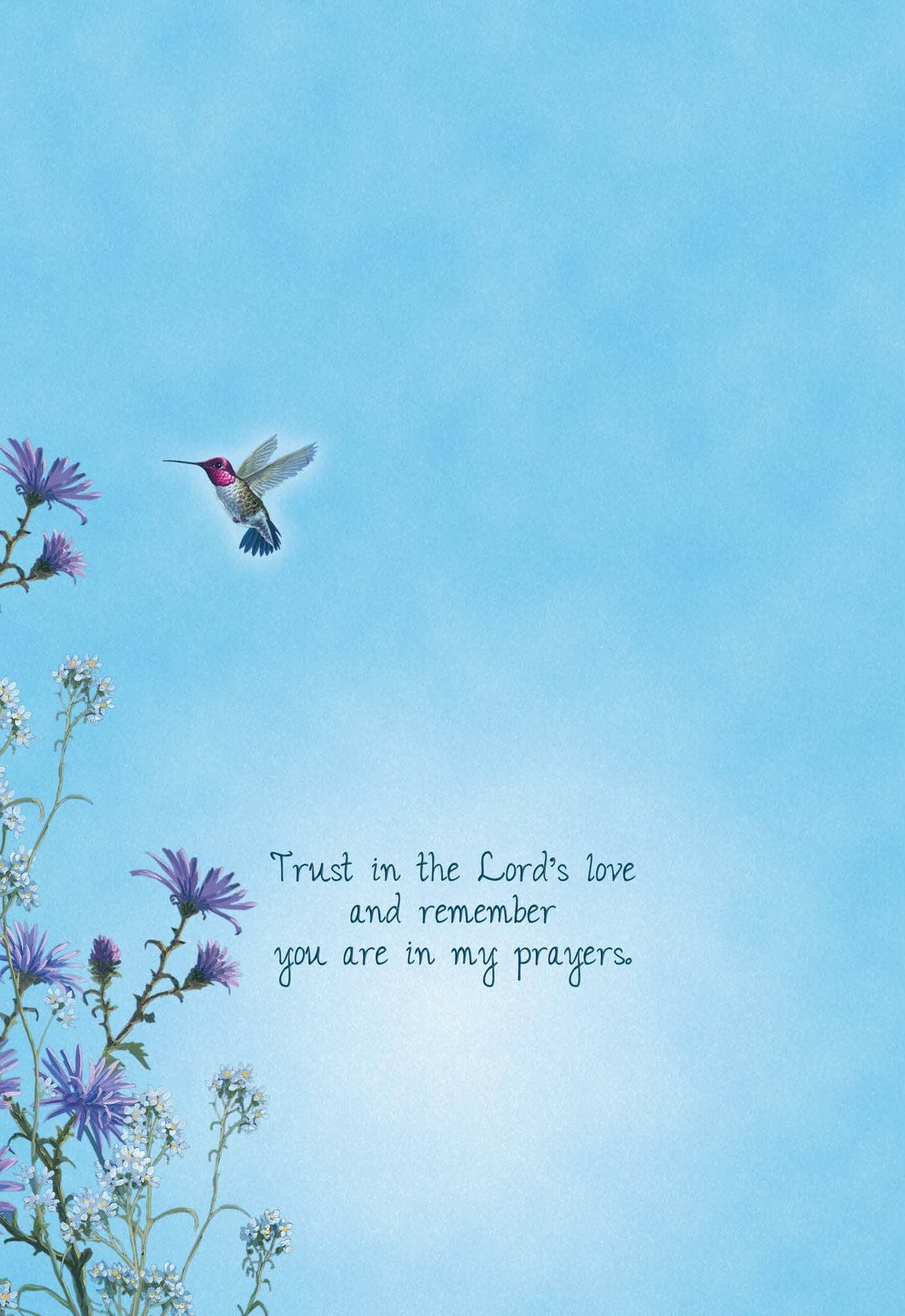 Crown Point Graphics - Hummingbirds - Box of 12 Assorted Encouragement Cards by Shared Blessings