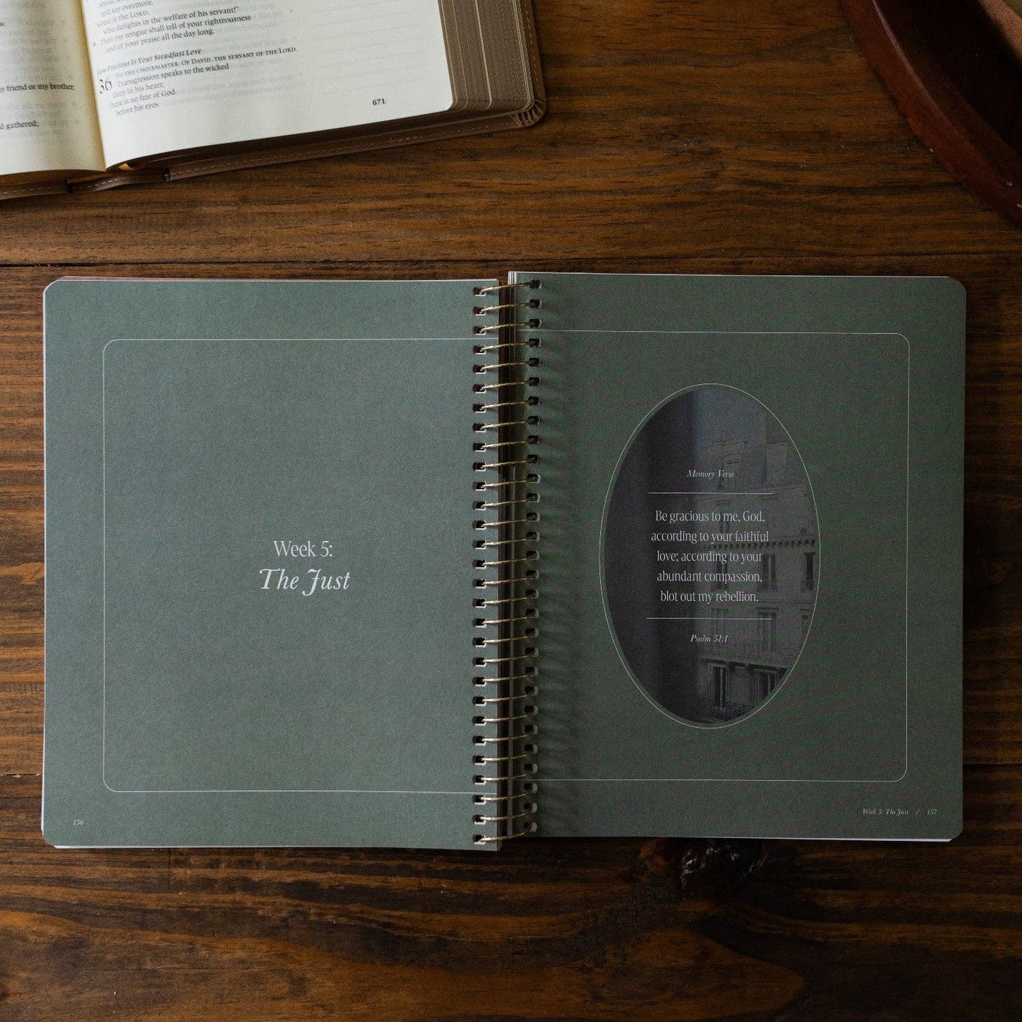 The Daily Grace Co - Peaks and Valleys: Learning to Look to Christ in Life's Highs and Lows | A Study on the Life of David