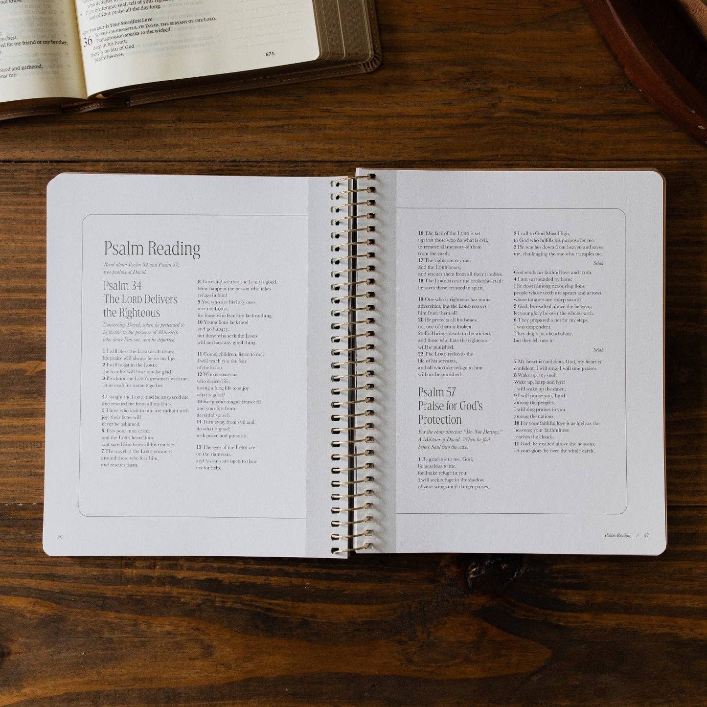 The Daily Grace Co - Peaks and Valleys: Learning to Look to Christ in Life's Highs and Lows | A Study on the Life of David