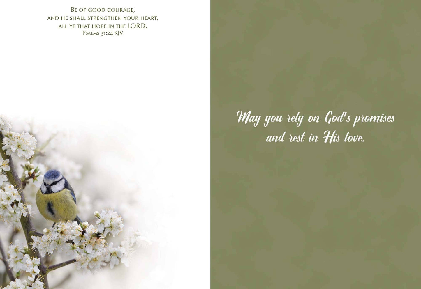 Crown Point Graphics - Feathers of Faith - Box of 12 Assorted Sympathy Cards by Shared Blessings