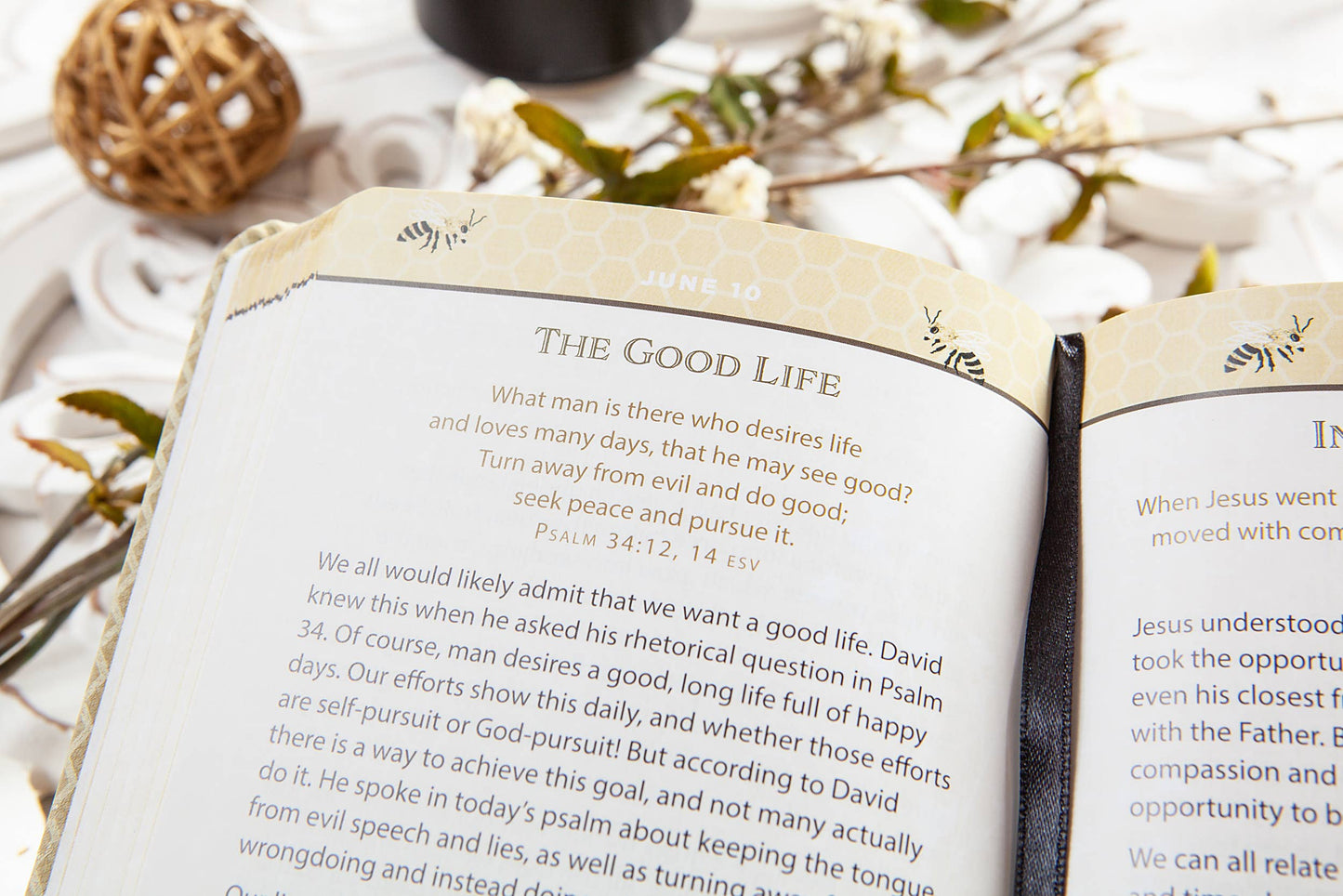 BroadStreet Publishing Group, LLC - Sweeter Than Honey (Daily Devotional)