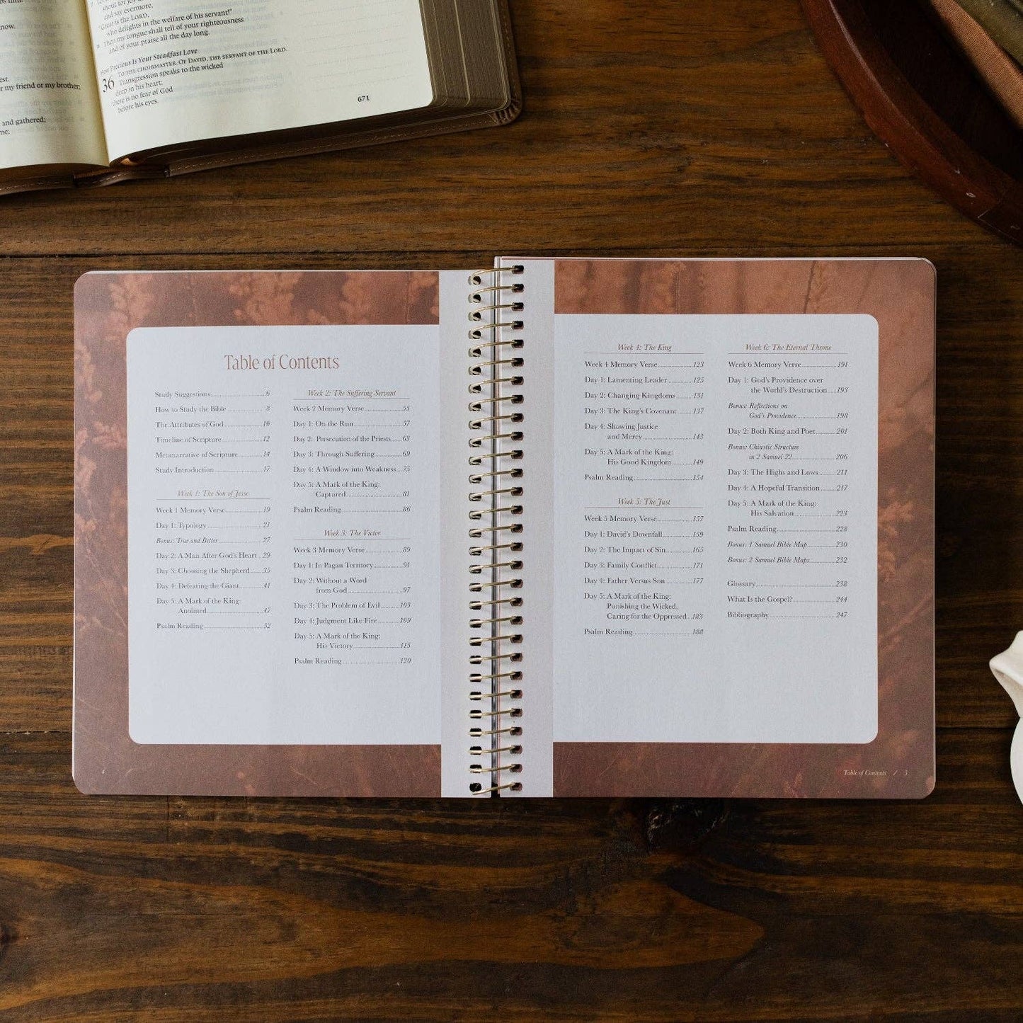 The Daily Grace Co - Peaks and Valleys: Learning to Look to Christ in Life's Highs and Lows | A Study on the Life of David