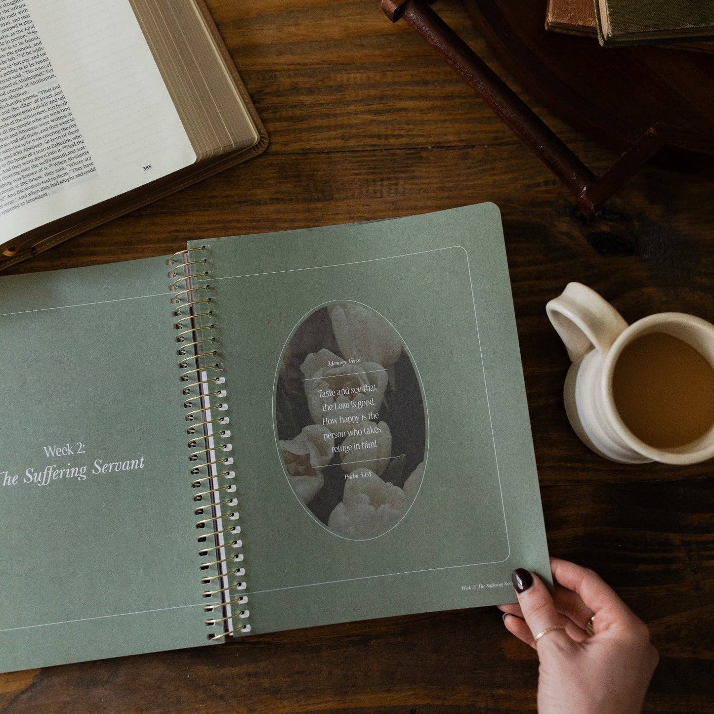 The Daily Grace Co - Peaks and Valleys: Learning to Look to Christ in Life's Highs and Lows | A Study on the Life of David