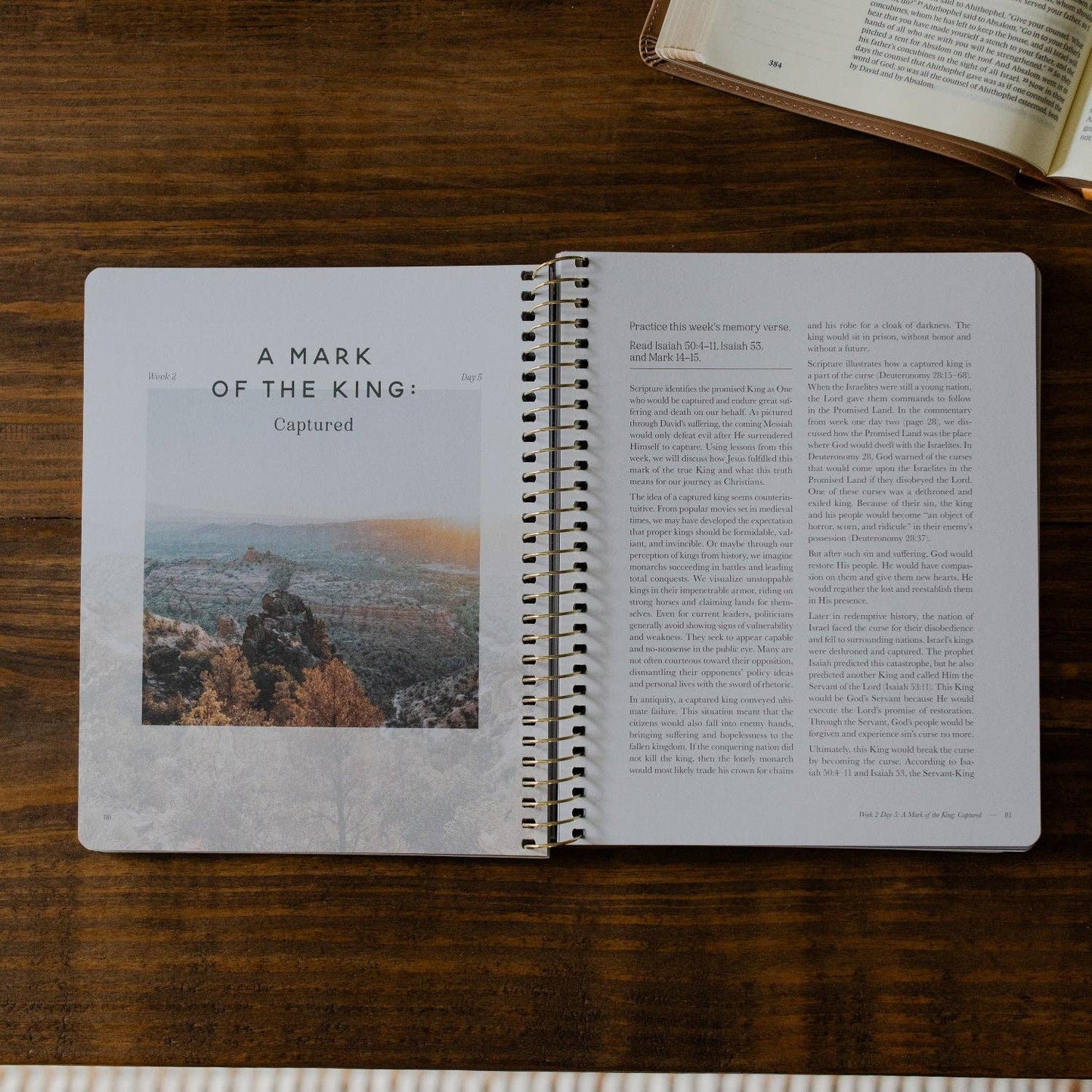 The Daily Grace Co - Peaks and Valleys: Learning to Look to Christ in Life's Highs and Lows | A Study on the Life of David - Men