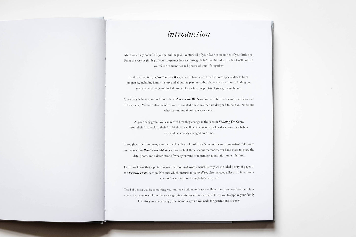 Duncan & Stone Paper Co. - Baby's First Year Memory Book & Photo Album | Mother's Day