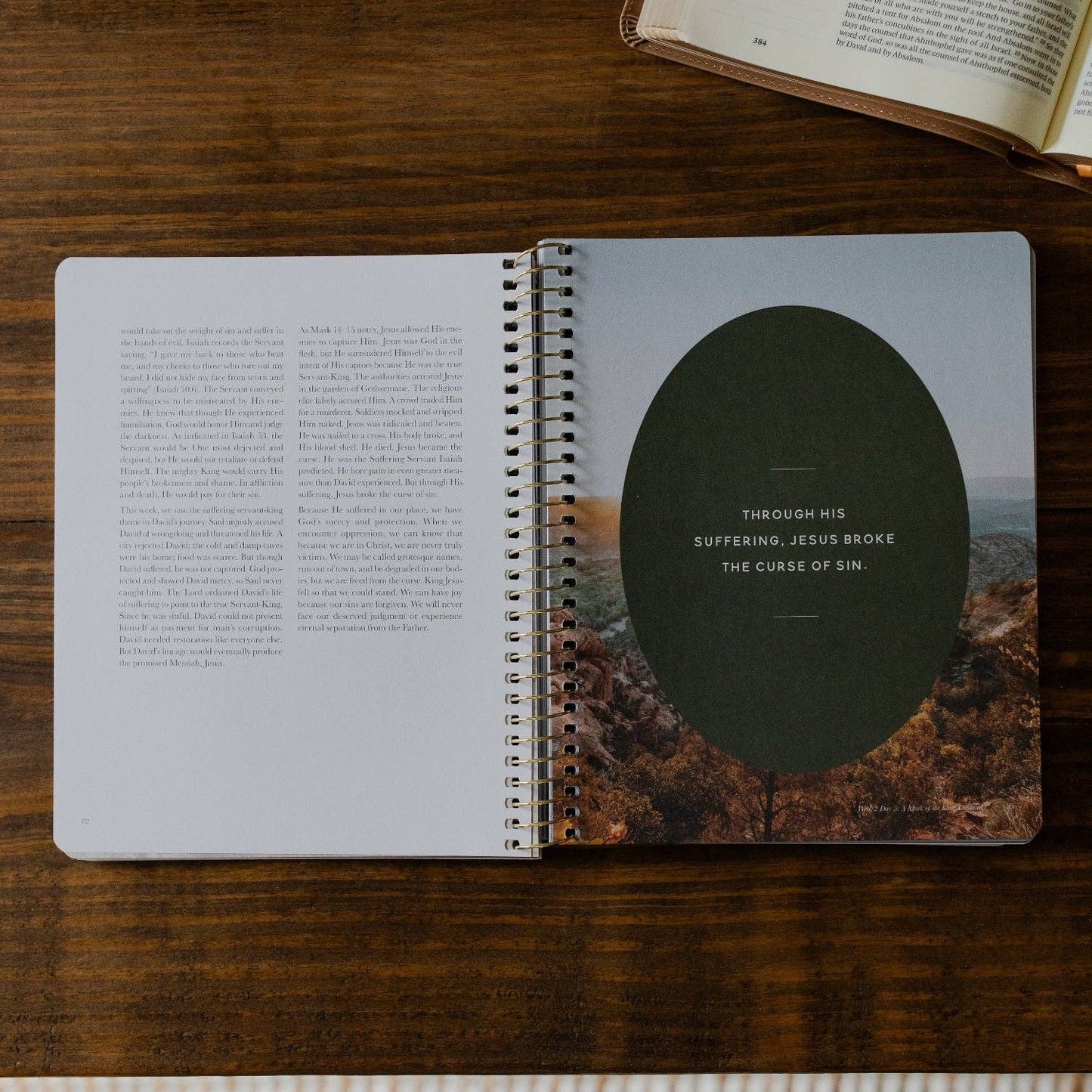 The Daily Grace Co - Peaks and Valleys: Learning to Look to Christ in Life's Highs and Lows | A Study on the Life of David - Men