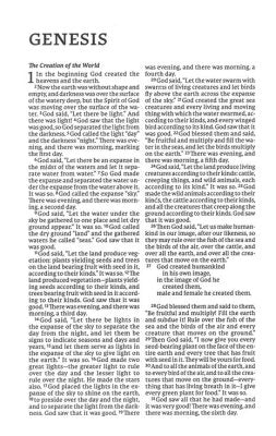 NET Comfort Print Thinline Bible--soft leather-look, brown