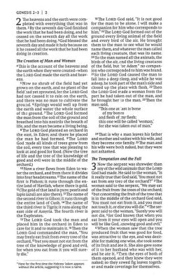 NET Comfort Print Thinline Bible--soft leather-look, brown