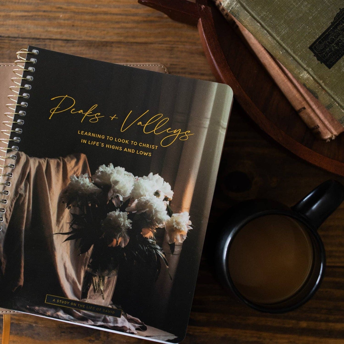 The Daily Grace Co - Peaks and Valleys: Learning to Look to Christ in Life's Highs and Lows | A Study on the Life of David