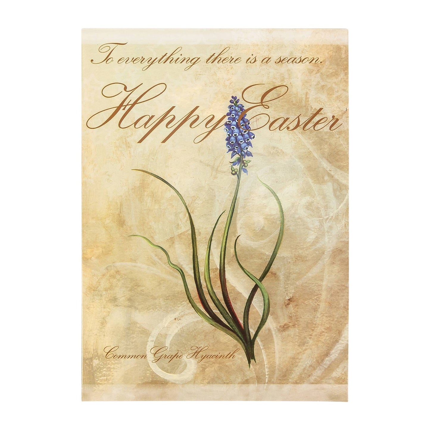 Divinity Boutique - Boxed Cards: Easter- Flowers