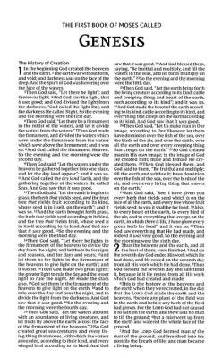 NKJV Value Ultra Thinline Bible, Comfort Print--soft leather-look, pink