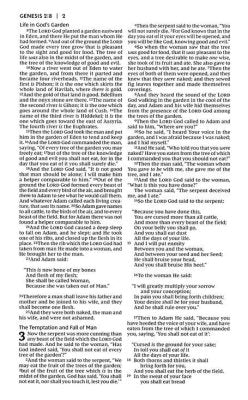 NKJV Value Ultra Thinline Bible, Comfort Print--soft leather-look, pink