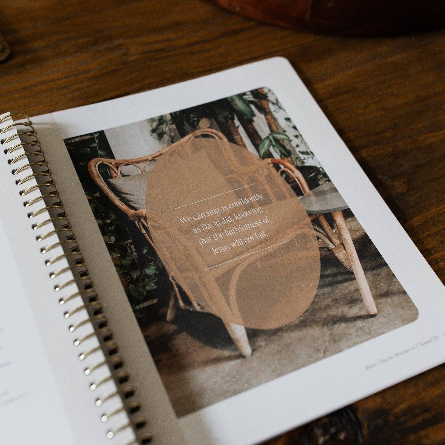 The Daily Grace Co - Peaks and Valleys: Learning to Look to Christ in Life's Highs and Lows | A Study on the Life of David