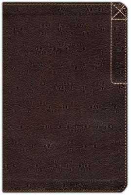 NLT Every Man's Bible Explorer Edition, Leatherlike