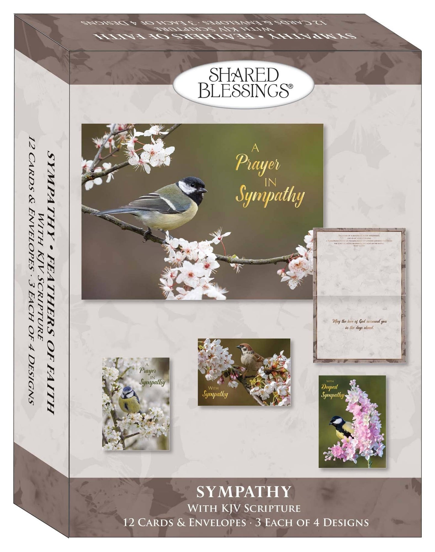 Crown Point Graphics - Feathers of Faith - Box of 12 Assorted Sympathy Cards by Shared Blessings
