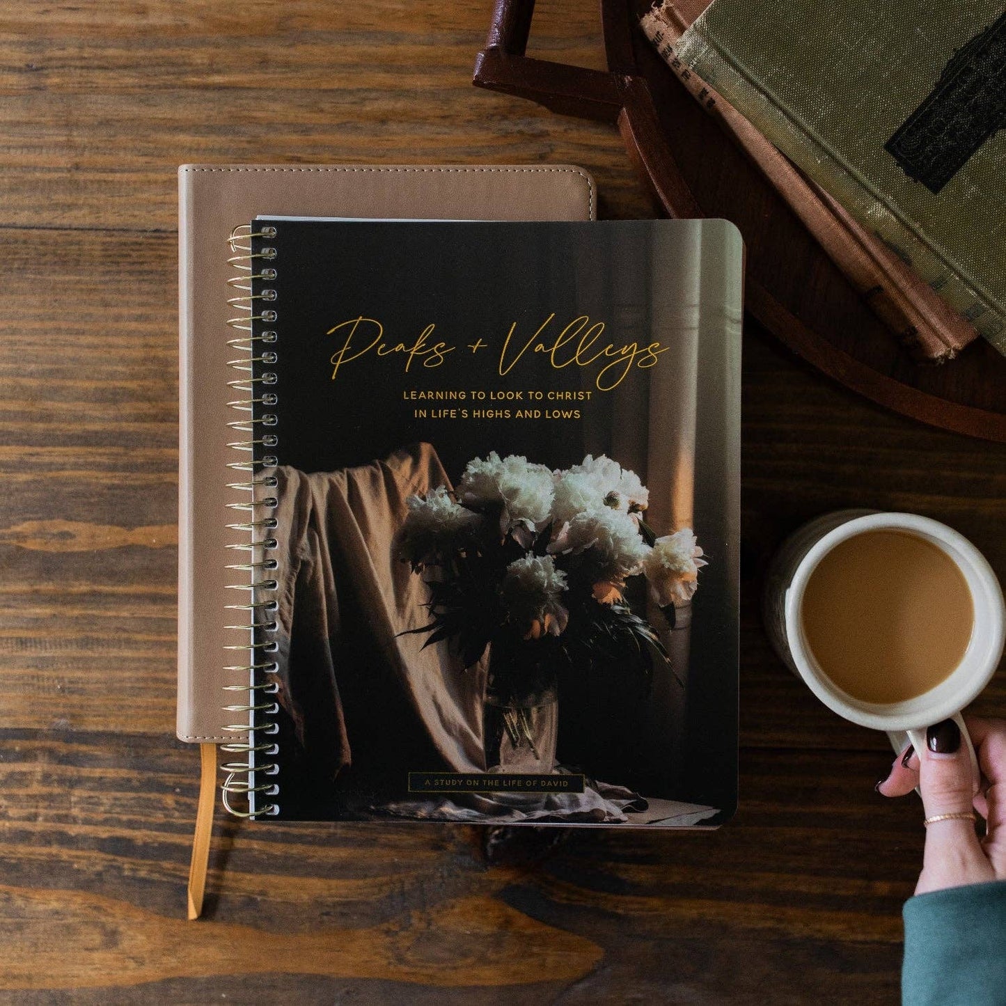 The Daily Grace Co - Peaks and Valleys: Learning to Look to Christ in Life's Highs and Lows | A Study on the Life of David