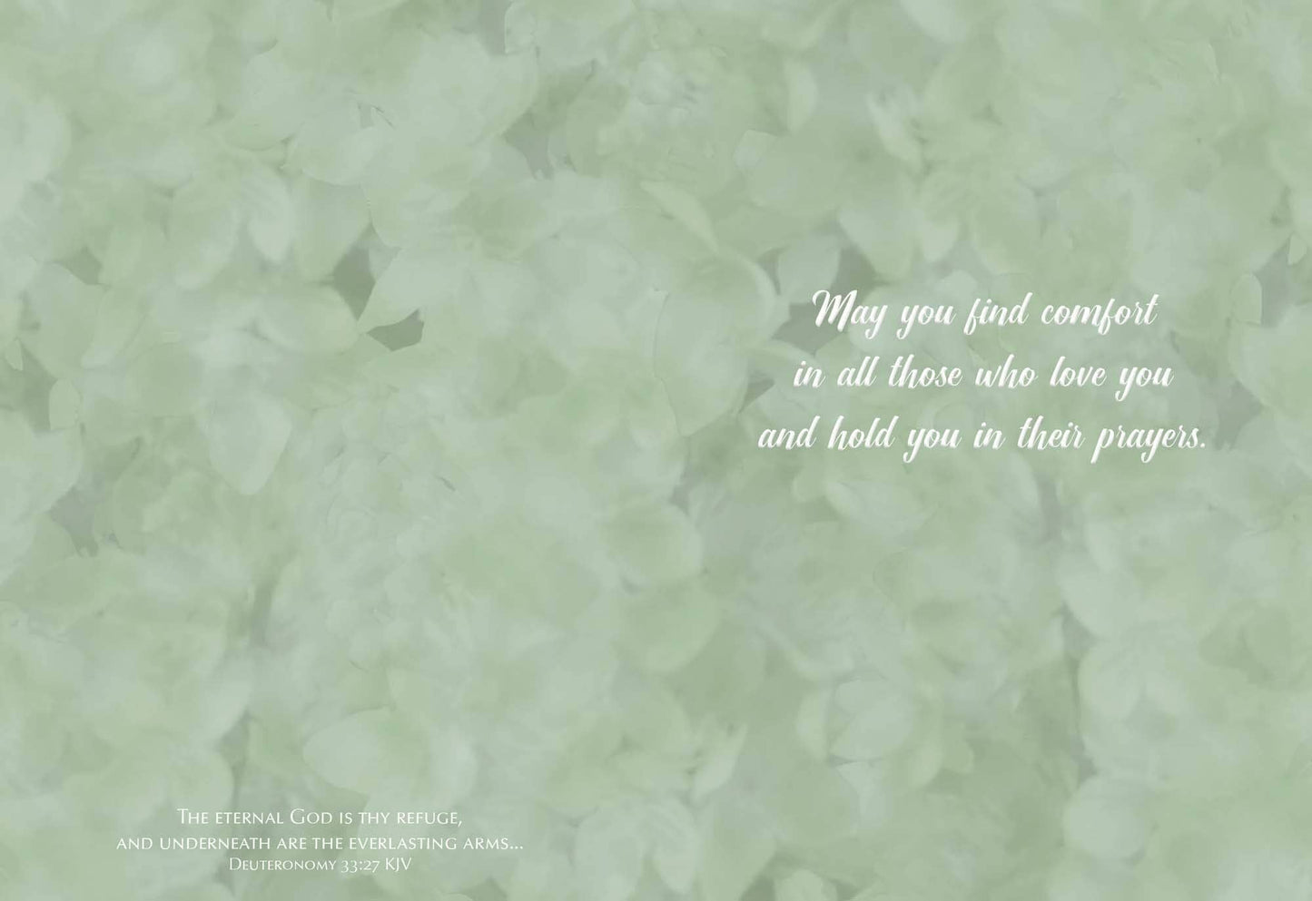 Crown Point Graphics - Feathers of Faith - Box of 12 Assorted Sympathy Cards by Shared Blessings