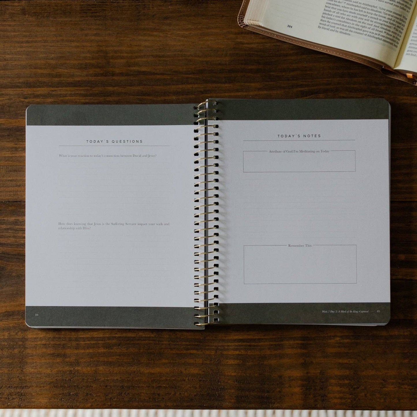 The Daily Grace Co - Peaks and Valleys: Learning to Look to Christ in Life's Highs and Lows | A Study on the Life of David - Men