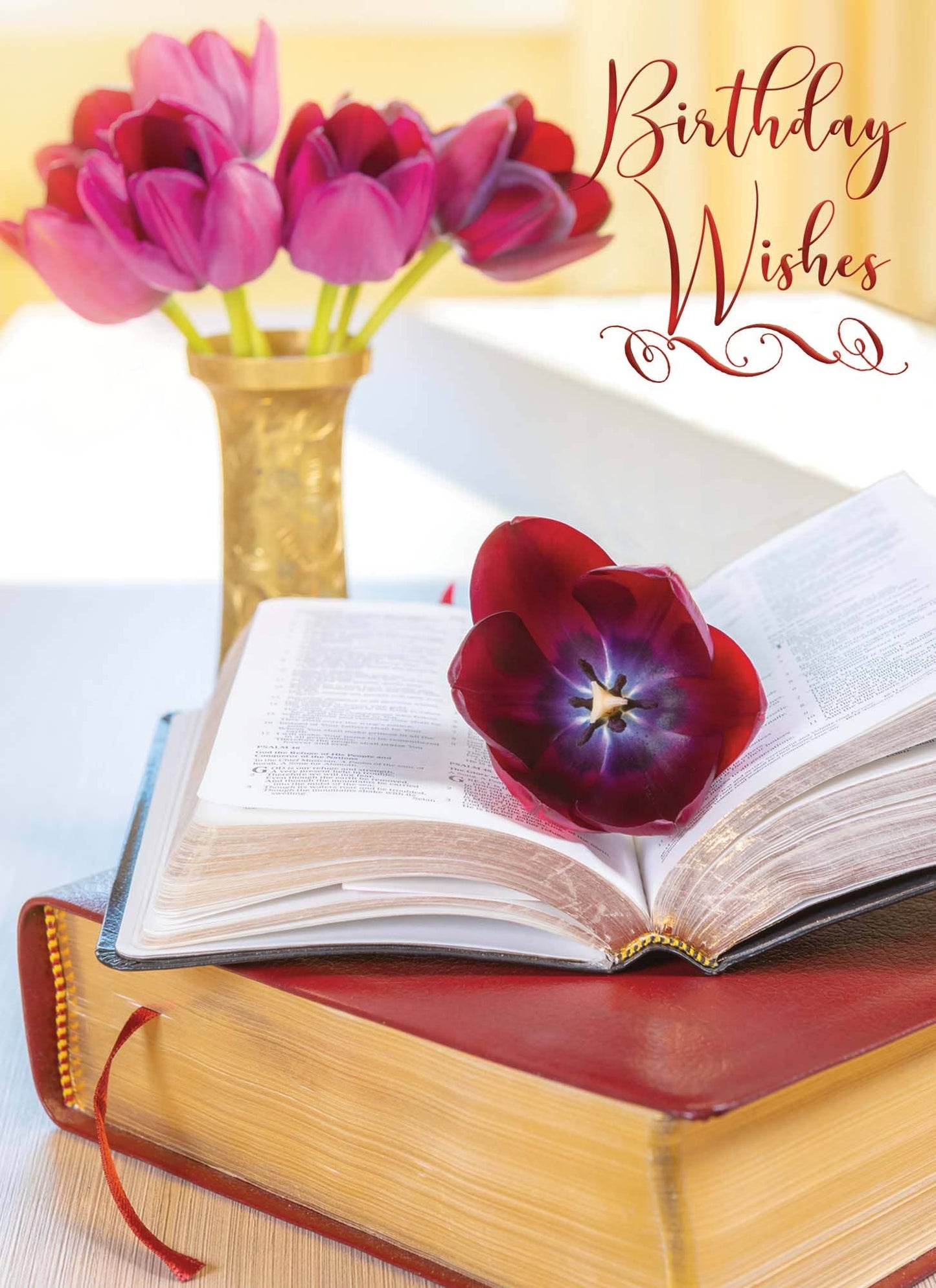 Crown Point Graphics - Bibles and Flowers, Box of 12 Assorted Birthday Cards by Shared Blessings